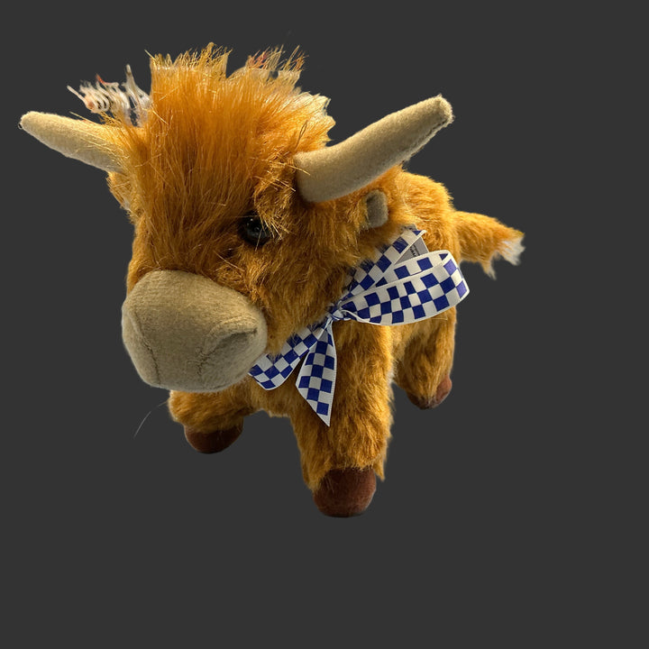Highland cow 8